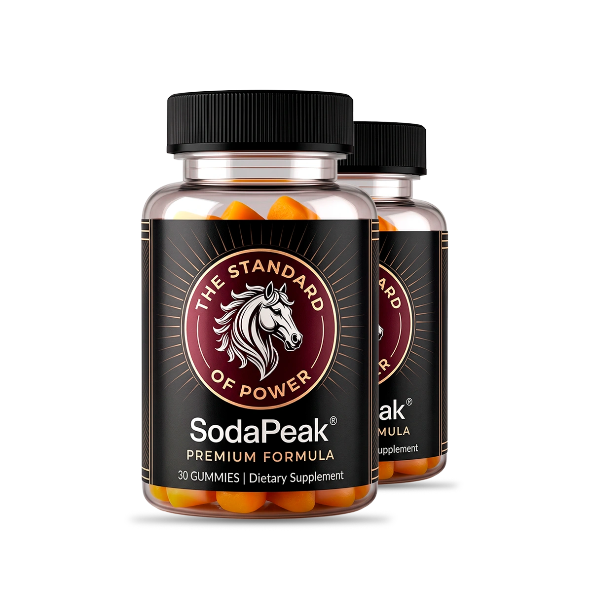 SodaPeak™ 2 bottle package