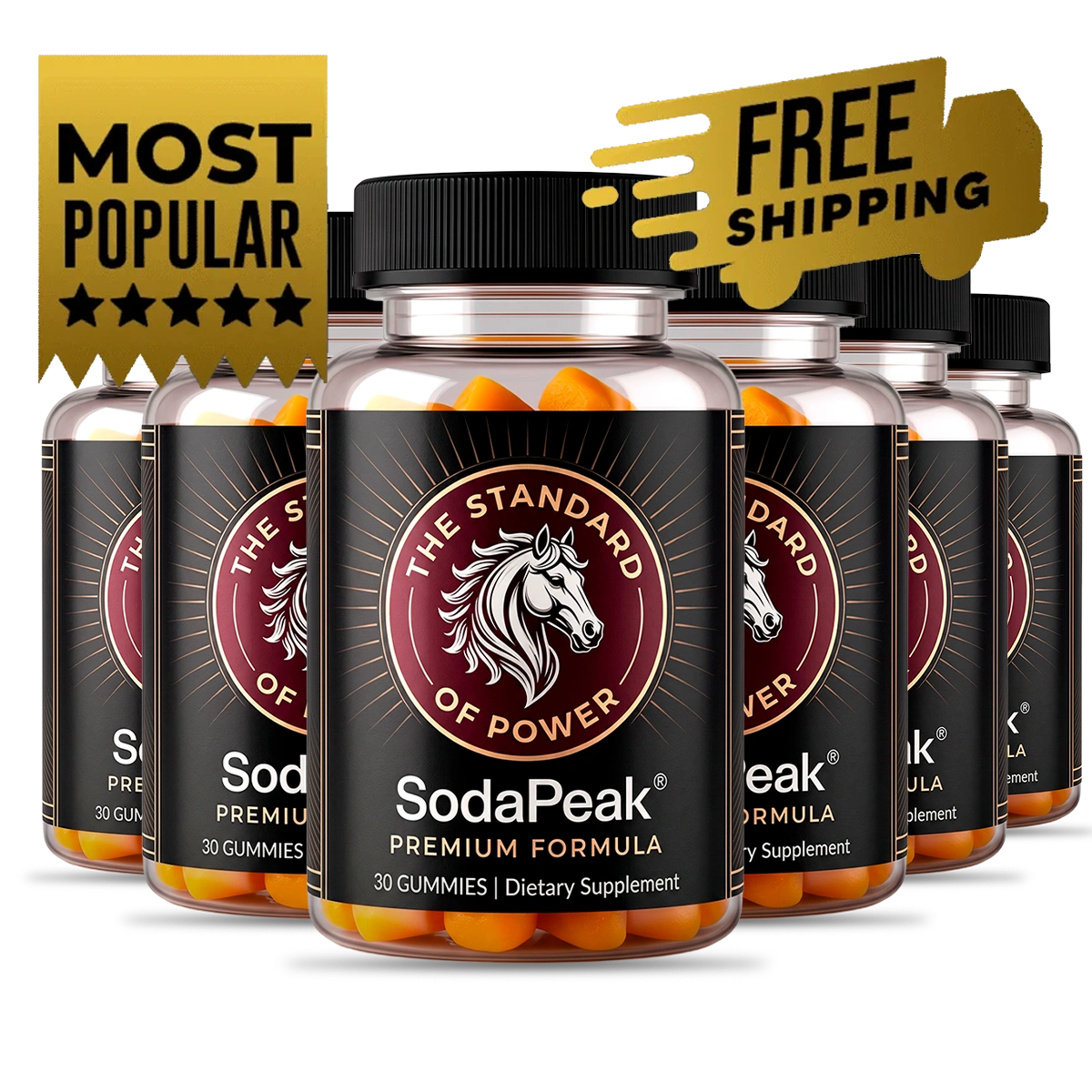 SodaPeak™ 6 bottle best value package
